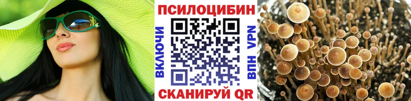 Купить закладки  Кириши  Псилоцибиновые грибы мицелий 